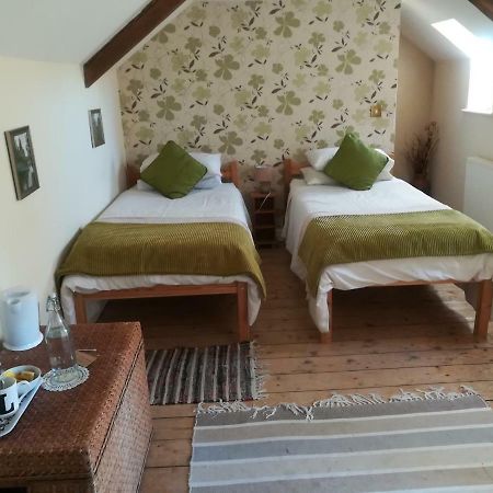 Y Garreg Wen Bed and Breakfast Llanybyther Eksteriør billede