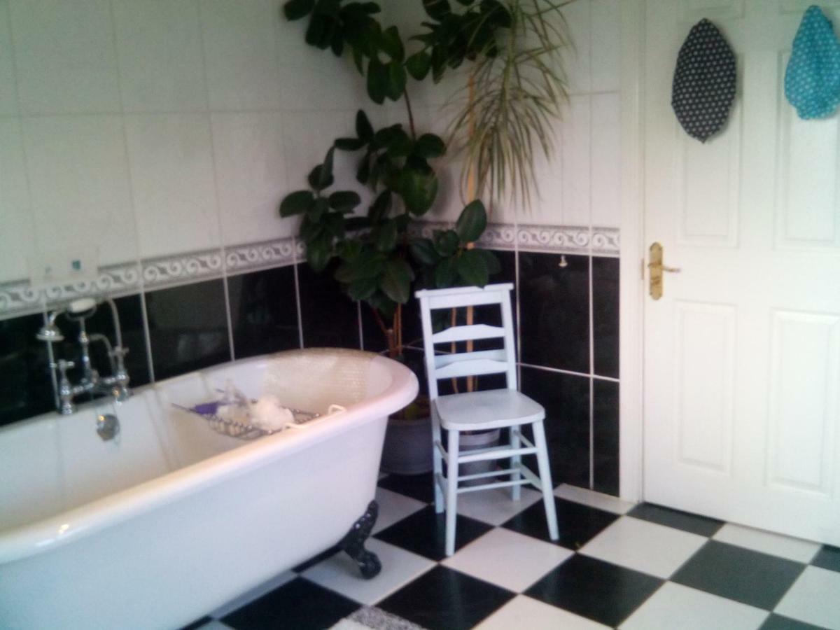Y Garreg Wen Bed and Breakfast Llanybyther Eksteriør billede