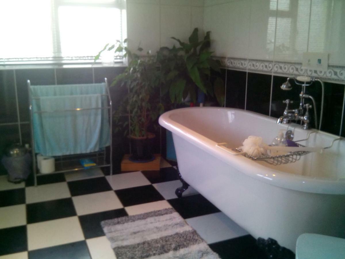 Y Garreg Wen Bed and Breakfast Llanybyther Eksteriør billede
