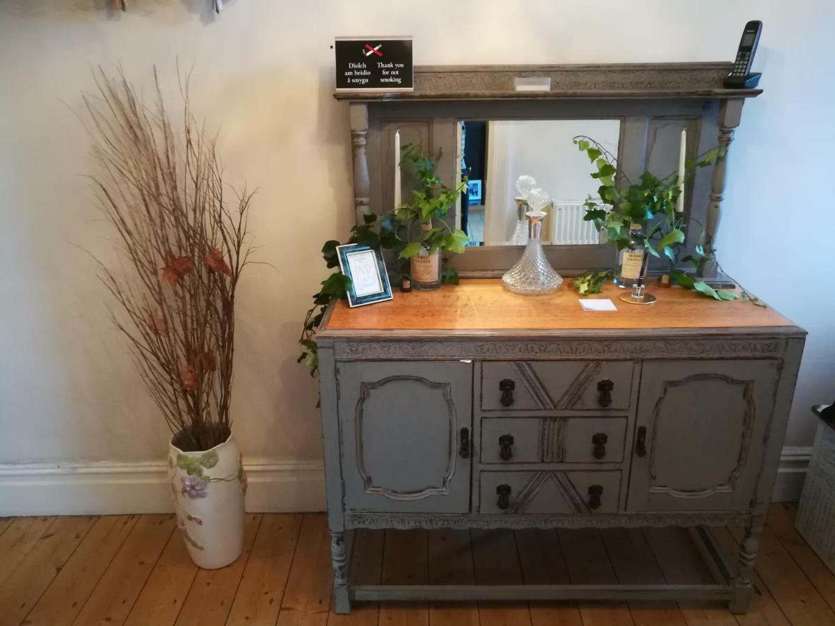 Y Garreg Wen Bed and Breakfast Llanybyther Eksteriør billede