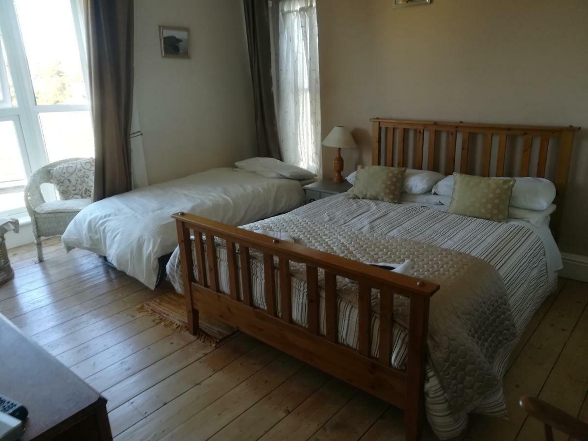 Y Garreg Wen Bed and Breakfast Llanybyther Eksteriør billede