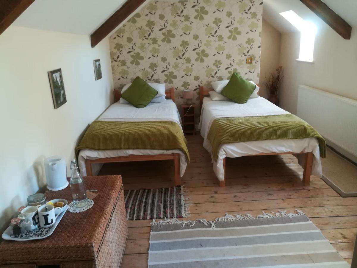 Y Garreg Wen Bed and Breakfast Llanybyther Eksteriør billede