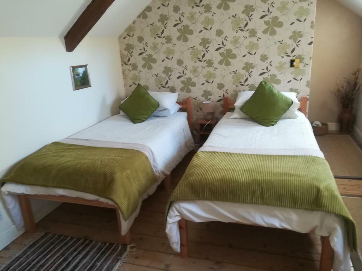 Y Garreg Wen Bed and Breakfast Llanybyther Eksteriør billede