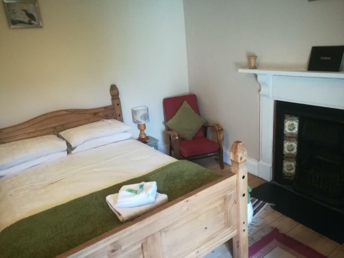 Y Garreg Wen Bed and Breakfast Llanybyther Eksteriør billede