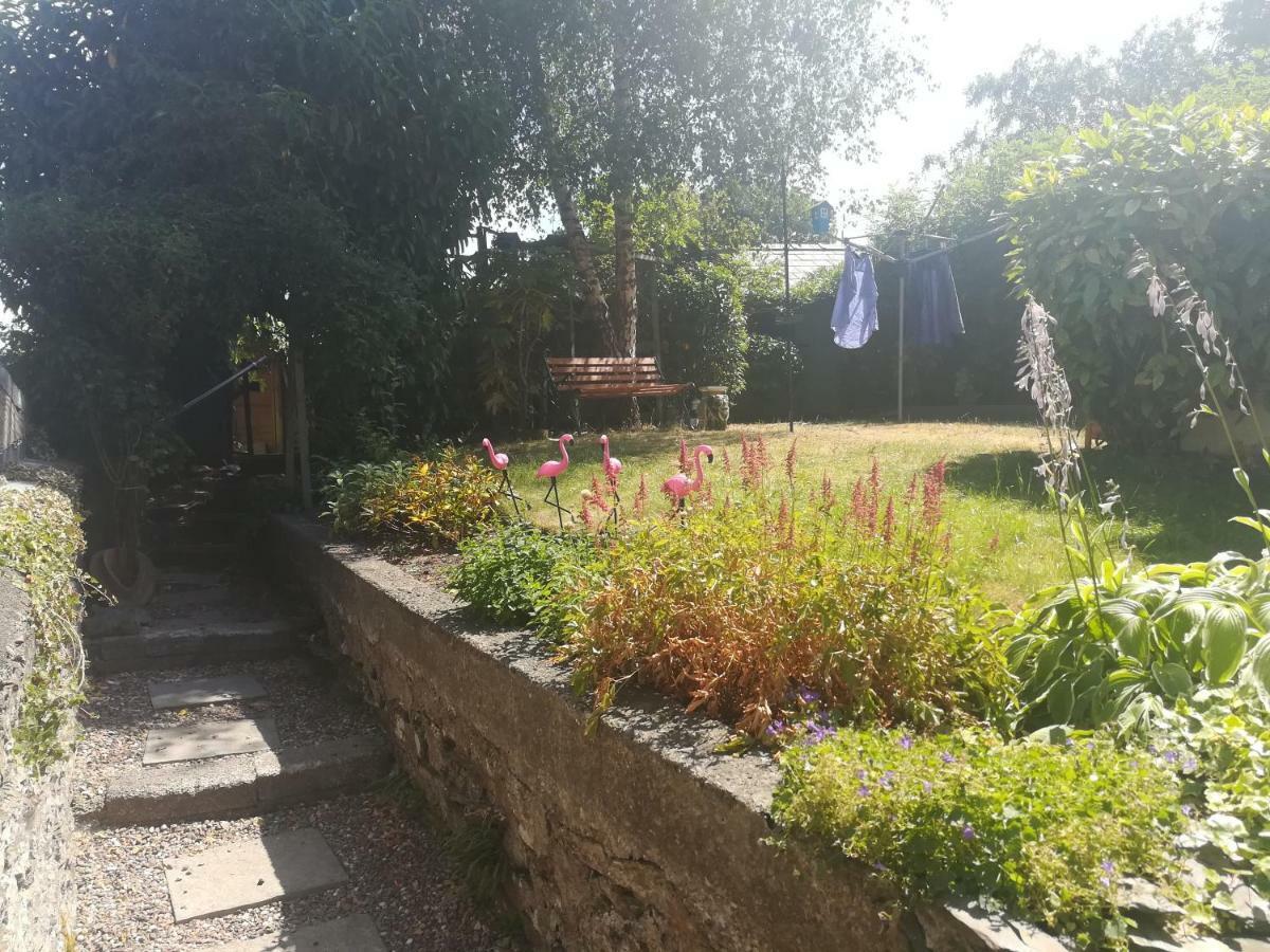 Y Garreg Wen Bed and Breakfast Llanybyther Eksteriør billede